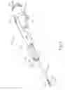Fig. 08 - Biopsy device with slide-in probe