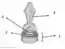 Fig. 01 - Circumcision device