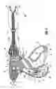 Fig. 08 - Vessel sealer and divider
