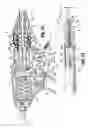 Fig. 19 - Vessel sealer and divider