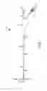 Fig. 02 - Guide and flexible sleeve for use with catheters
