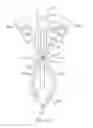 Fig. 09 - Curved cannula surgical system
