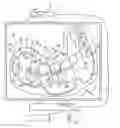 Fig. 01 - Method for the virtual secondary machining of a gingiva model