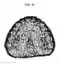 Fig. 09 - Medium, apparatus, and method for generating movement rotation information