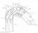 Fig. 01 - EMBOLIC PROTECTION DEVICE