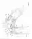 Fig. 07 - EMBOLIC PROTECTION DEVICE