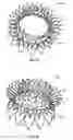 Fig. 09 - Replacement mitral valves