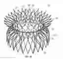 Fig. 03 - Replacement mitral valves