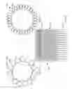 Fig. 50 - Replacement mitral valves