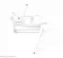 Fig. 01 - Asymmetric artificial knee joint