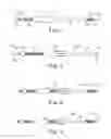 Fig. 02 - Delivery systems and methods of implantation for prosthetic heart valves
