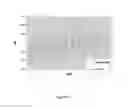 Fig. 02 - COMPOSITION AND METHOD FOR INHIBITION OF NERVE TRANSMISSION