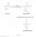 Fig. 02 - Licofelone derivatives and methods of use