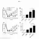 Fig. 03 - USE OF AMITRIPTYLINE FOR BLOCKING BRAIN HEMICHANNELS AND METHOD FOR POTENTIATING ITS EFFECT IN VIVO