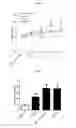 Fig. 04 - USE OF AMITRIPTYLINE FOR BLOCKING BRAIN HEMICHANNELS AND METHOD FOR POTENTIATING ITS EFFECT IN VIVO