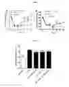 Fig. 06 - USE OF AMITRIPTYLINE FOR BLOCKING BRAIN HEMICHANNELS AND METHOD FOR POTENTIATING ITS EFFECT IN VIVO