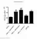 Fig. 10 - USE OF AMITRIPTYLINE FOR BLOCKING BRAIN HEMICHANNELS AND METHOD FOR POTENTIATING ITS EFFECT IN VIVO