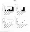 Fig. 12 - USE OF AMITRIPTYLINE FOR BLOCKING BRAIN HEMICHANNELS AND METHOD FOR POTENTIATING ITS EFFECT IN VIVO