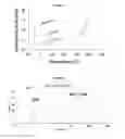 Fig. 02 - ANTICOAGULANT REVERSAL AGENTS