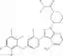 Fig. 139 - Polyfluorinated compounds acting as bruton tyrosine kinase inhibitors
