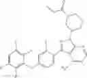 Fig. 144 - Polyfluorinated compounds acting as bruton tyrosine kinase inhibitors