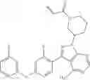 Fig. 244 - Polyfluorinated compounds acting as bruton tyrosine kinase inhibitors