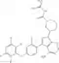 Fig. 362 - Polyfluorinated compounds acting as bruton tyrosine kinase inhibitors