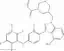 Fig. 66 - Polyfluorinated compounds acting as bruton tyrosine kinase inhibitors