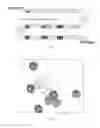 Fig. 04 - Compounds and compositions for ossification and methods related thereto