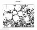 Fig. 07 - Dactinomycin compositions and methods for the treatment of acute myeloid leukemia