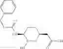 Fig. 158 - Pharmaceutical compositions comprising cyclic boronic acid ester derivatives