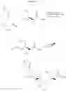 Fig. 84 - Pharmaceutical compositions comprising cyclic boronic acid ester derivatives