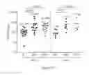 Fig. 125 - Processes for production of tumor infiltrating lymphocytes and uses of same in immunotherapy