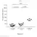Fig. 18 - Processes for production of tumor infiltrating lymphocytes and uses of same in immunotherapy