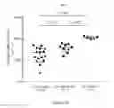 Fig. 19 - Processes for production of tumor infiltrating lymphocytes and uses of same in immunotherapy