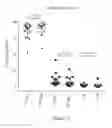 Fig. 20 - Processes for production of tumor infiltrating lymphocytes and uses of same in immunotherapy