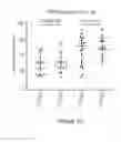 Fig. 25 - Processes for production of tumor infiltrating lymphocytes and uses of same in immunotherapy