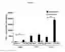 Fig. 75 - Processes for production of tumor infiltrating lymphocytes and uses of same in immunotherapy