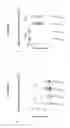 Fig. 87 - Processes for production of tumor infiltrating lymphocytes and uses of same in immunotherapy