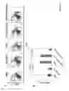 Fig. 03 - METHODS FOR MOBILIZING HEMATOPOIETIC STEM CELLS