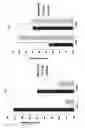 Fig. 02 - Compositions comprising bacterial strains
