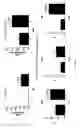 Fig. 45 - Use of oncolytic herpes simplex virus, alone or in combination with immune check-point inhibitor, in the treatment of cancer