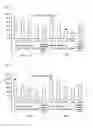 Fig. 02 - COMPOSITION FOR ALLEVIATING SKIN INFLAMMATION CAUSED BY YELLOW DUST AND FINE PARTICULATE, COMPRISING NATURAL PLANT EXTRACT