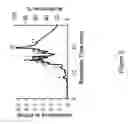 Fig. 03 - Soy-derived bioactive peptides for use in compositions and methods for wound healing, tissue engineering, and regenerative medicine