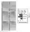 Fig. 04 - Soy-derived bioactive peptides for use in compositions and methods for wound healing, tissue engineering, and regenerative medicine