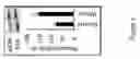 Fig. 06 - Soy-derived bioactive peptides for use in compositions and methods for wound healing, tissue engineering, and regenerative medicine