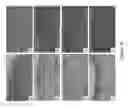 Fig. 20 - Soy-derived bioactive peptides for use in compositions and methods for wound healing, tissue engineering, and regenerative medicine