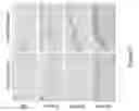 Fig. 29 - Soy-derived bioactive peptides for use in compositions and methods for wound healing, tissue engineering, and regenerative medicine