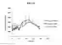Fig. 13 - IL-12 FORMULATIONS FOR ENHANCING HEMATOPOIESIS