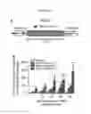 Fig. 02 - Compositions and methods for regulating leukocyte adhesion